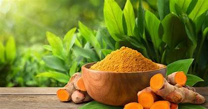 Essential Nepali Spices and Their Medicinal Uses